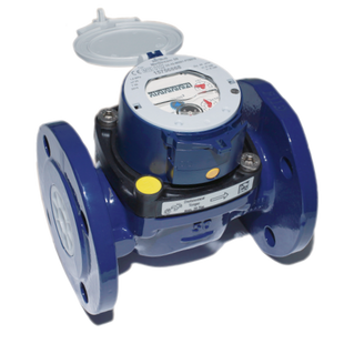 Турбинный счетчик холодной воды Sensus MeiStream Plus 50/50&deg; Ду 50 sensus-87 фото